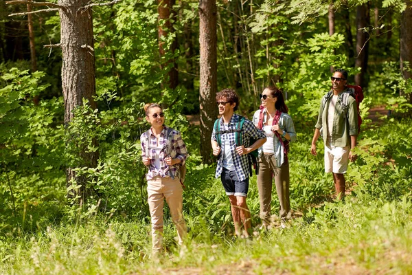 Skupina přátel s batohy turistika v lese — Stock fotografie