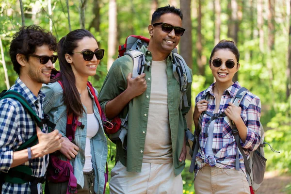 Sırt çantalı bir grup arkadaş ormanda yürüyüş yapıyor. — Stok fotoğraf