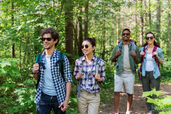 Grupo de amigos con mochilas senderismo en el bosque — Foto de Stock