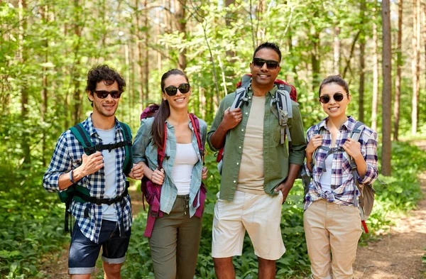 Friends with backpacks on hike in forest — Stock Photo, Image