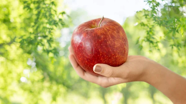 Close up of hand holding ripe red apple — Stock Photo, Image