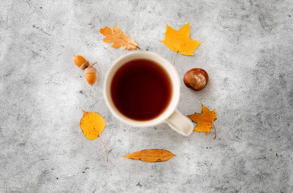 Taza de té, hojas de otoño, bellotas y castañas — Foto de Stock