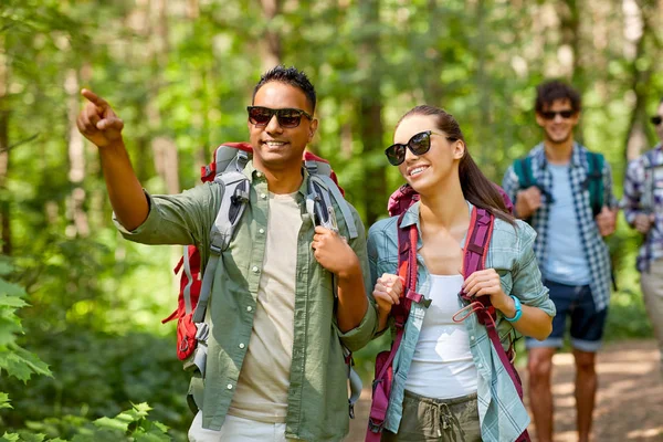 Grupp vänner med ryggsäckar vandring i skogen — Stockfoto