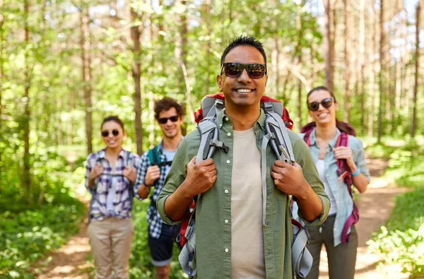 Amigos con mochilas en caminata en el bosque — Foto de Stock