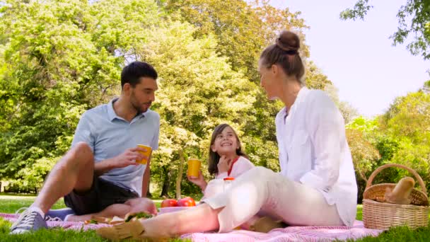 Feliz familia beber jugo en el picnic en el parque — Vídeos de Stock