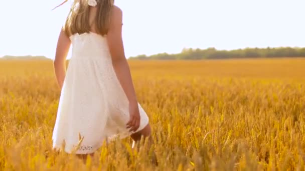 Hasır şapkalı mutlu kız tahıl tarlası boyunca yürüyor — Stok video