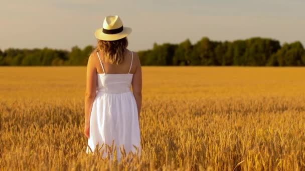 Mujer en sombrero de paja en el campo de cereales en verano — Vídeo de stock