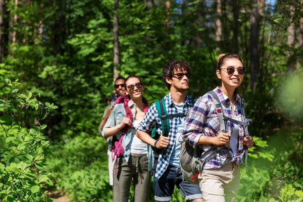 Grupa przyjaciół z plecakami spacerujących po lesie — Zdjęcie stockowe