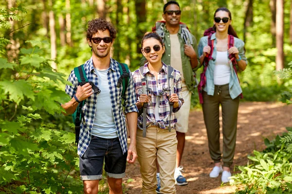 Grupp vänner med ryggsäckar vandring i skogen — Stockfoto