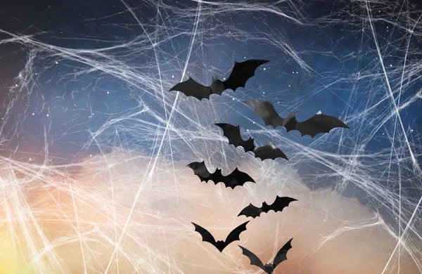 Morcegos negros sobre céu estrelado noite e teia de aranha — Fotografia de Stock