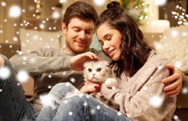 Feliz pareja con gato en casa — Foto de Stock