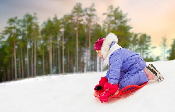 Девушка скользит вниз на снежной тарелке санях зимой — стоковое фото