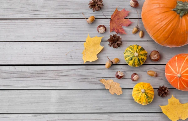 Hojas de otoño, castañas, bellotas y calabazas —  Fotos de Stock