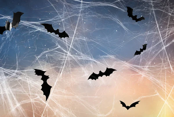Morcegos negros sobre céu estrelado noite e teia de aranha — Fotografia de Stock