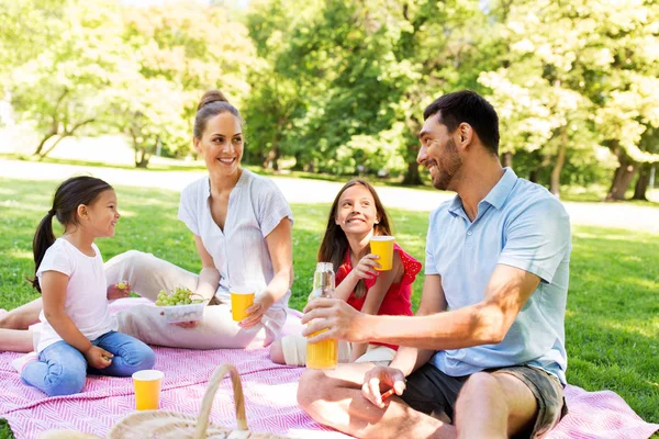 여름 공원에서 피크닉을 즐기는 행복 한 가족 — 스톡 사진