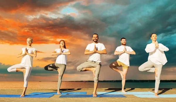 Mensen die yoga in boom pose op de mat buitenshuis — Stockfoto