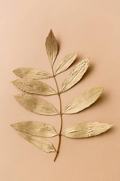 ベージュの背景に金色の灰の木の葉 — ストック写真