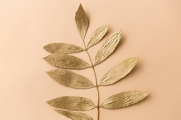 Golden Ash Tree Leaf på beige bakgrund — Stockfoto