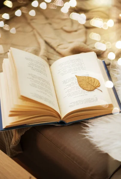 Libro con hoja de otoño en la página en el sofá en casa — Foto de Stock