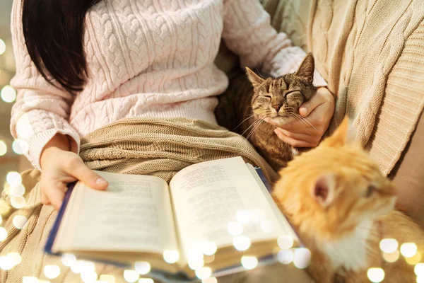 Rött och tabby och ägare läser bok hemma — Stockfoto