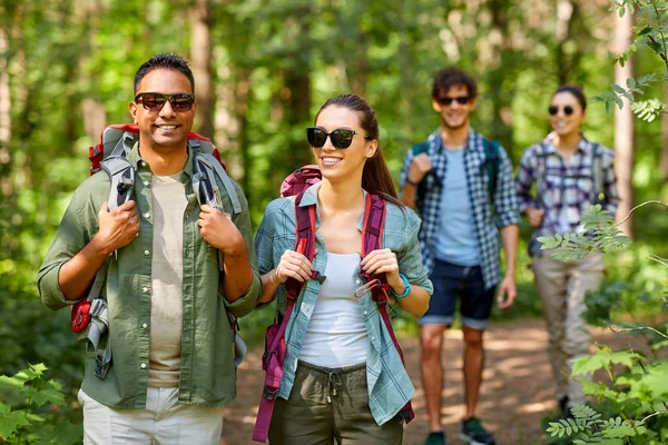 Groep vrienden met rugzakken wandelen in het bos — Stockfoto