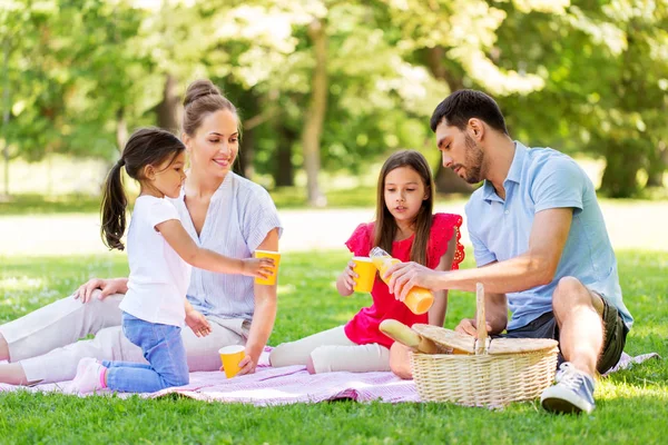 Family drinking juice on picnic at summer park — Stock Photo, Image