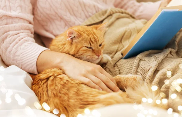 Gatto rosso e proprietario femminile libro di lettura a casa — Foto Stock