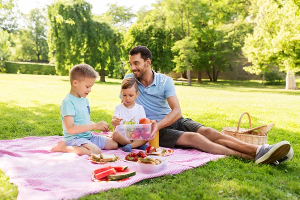 夏の公園でピクニックをしている幸せな家族 ロイヤリティフリーのストック画像