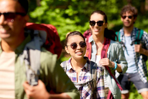 Sırt çantalı bir grup arkadaş ormanda yürüyüş yapıyor. — Stok fotoğraf
