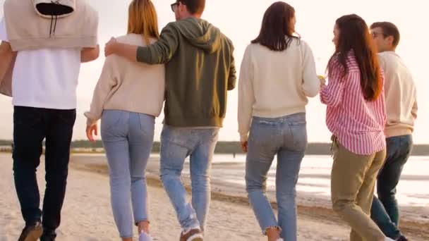 Freunde mit alkoholfreien Getränken gehen am Strand spazieren — Stockvideo