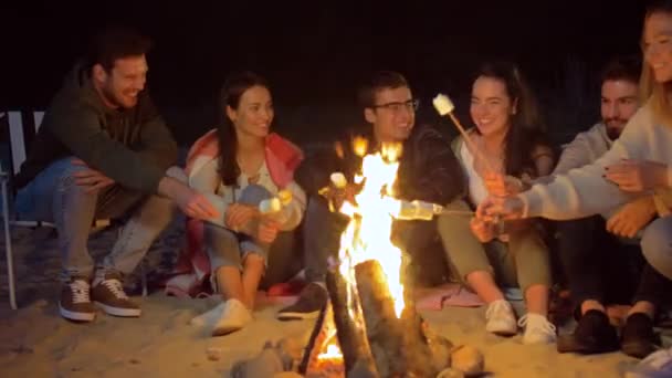 朋友在海滩上的篝火上烤棉花糖 — 图库视频影像
