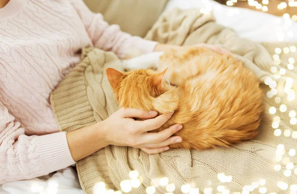 Close up de proprietário com gato vermelho na cama em casa — Fotografia de Stock