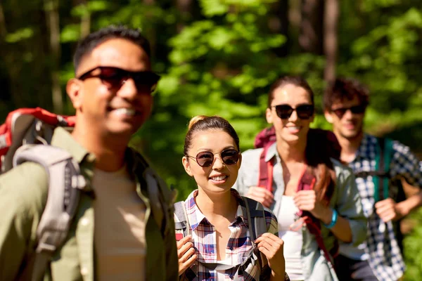 Grupp vänner med ryggsäckar vandring i skogen — Stockfoto