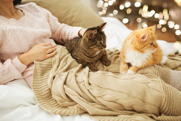 Close up of owner with red and tabby cat in bed — Stock Photo, Image