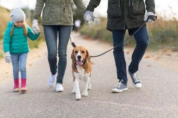 Passeggiata in famiglia con cane in autunno — Foto Stock