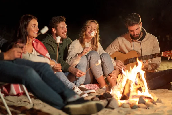 Amigos tostando malvavisco y tocando la guitarra — Foto de Stock