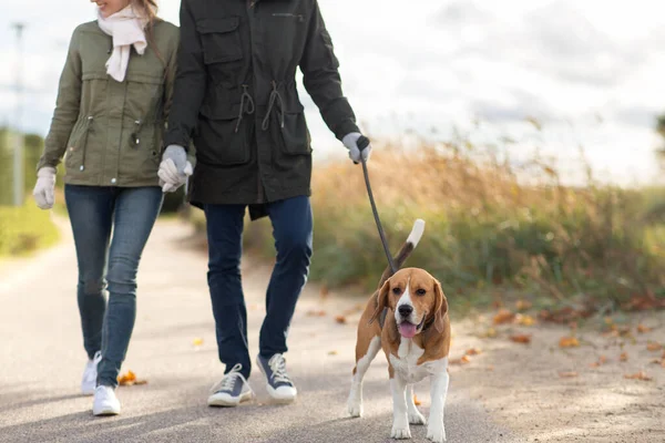 Passeggiata in famiglia con cane in autunno — Foto Stock