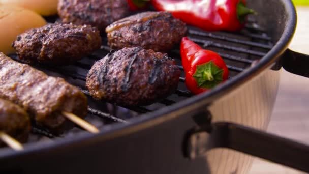 Barbecue kebab meat and vegetables on grill — Stock Video