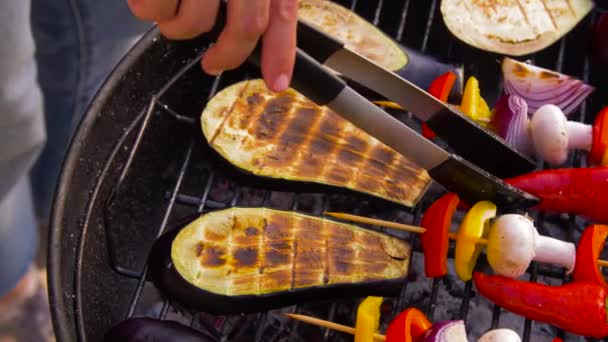 Vegetables and mushrooms roasting on brazier grill — Stock Video