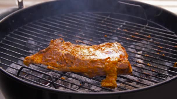 Barbecue rôtissage de viande sur brasero grill en plein air — Video