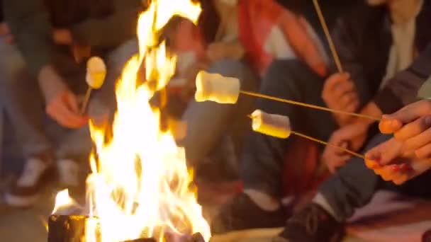 Przyjaciele palenia Marshmallow na ogień obozu na plaży — Wideo stockowe