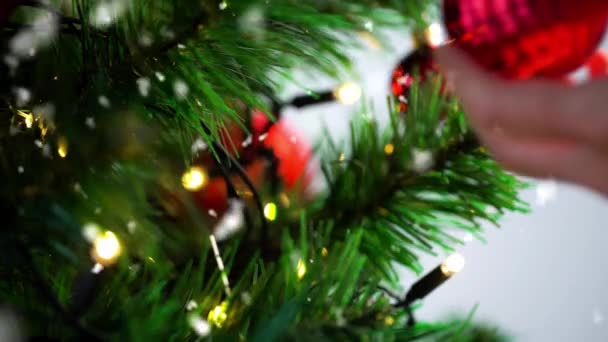 Γυναίκα διακόσμηση χριστουγεννιάτικο δέντρο με κόκκινη μπάλα — Αρχείο Βίντεο