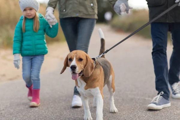 Familia paseando con perro en otoño — Foto de Stock