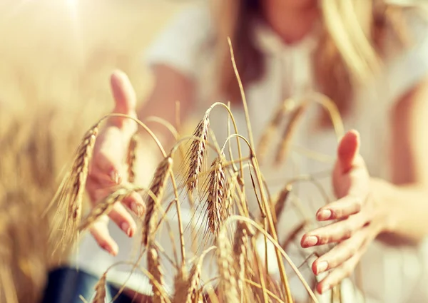 Primo piano di mani di donna in campo di cereali — Foto Stock