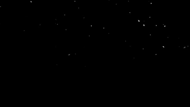 Сніг падає над чорним нічним небом — стокове відео