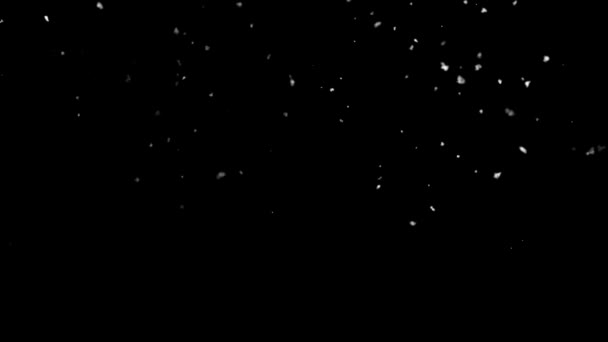 Χιόνι πέφτει πάνω από μαύρο νυχτερινό ουρανό — Αρχείο Βίντεο