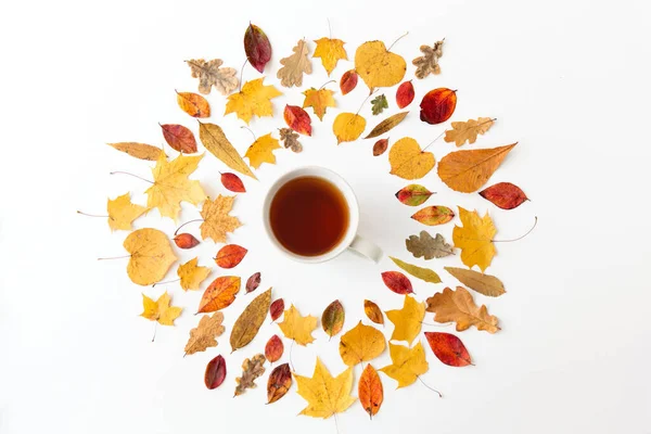 Taza de té negro y diferentes hojas secas de otoño — Foto de Stock