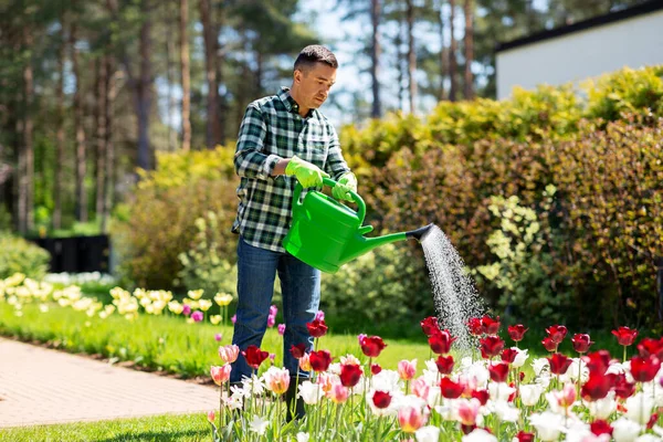 Man van middelbare leeftijd water geven bloemen in de tuin — Stockfoto