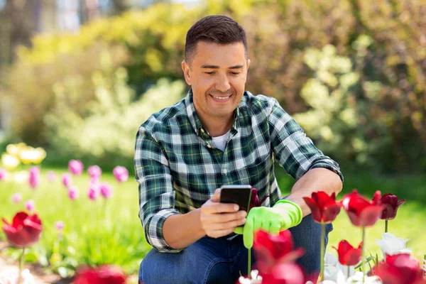 Hombre de mediana edad con teléfono inteligente en el jardín de flores —  Fotos de Stock