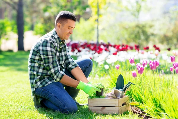 Man van middelbare leeftijd met gereedschap in doos in de zomertuin — Stockfoto